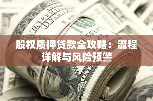 武汉股权质押贷款全攻略：流程详解与风险预警