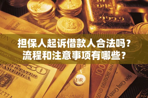 武汉担保人起诉借款人合法吗？流程和注意事项有哪些？