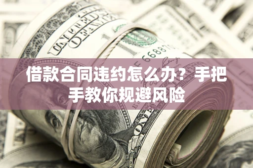武汉借款合同违约怎么办？手把手教你规避风险