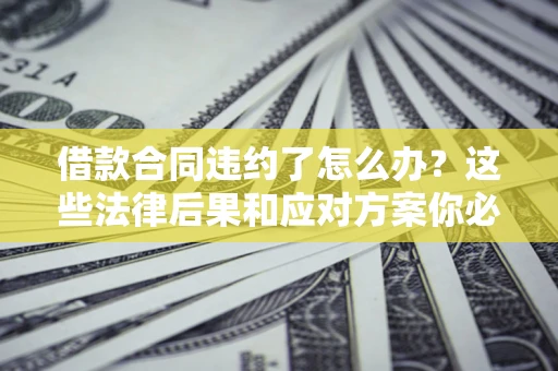 武汉借款合同违约了怎么办？这些法律后果和应对方案你必须知道