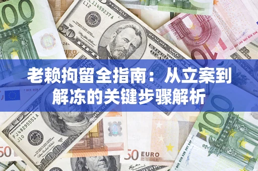 武汉老赖拘留全指南：从立案到解冻的关键步骤解析