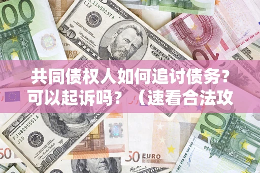 武汉共同债权人如何追讨债务？可以起诉吗？（速看合法攻略）