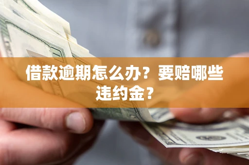 武汉借款逾期怎么办？要赔哪些违约金？