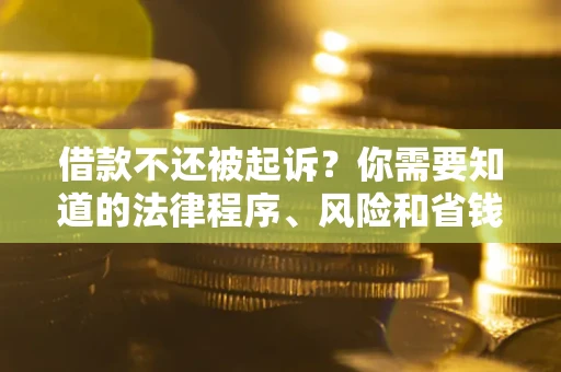 武汉借款不还被起诉？你需要知道的法律程序、风险和省钱技巧